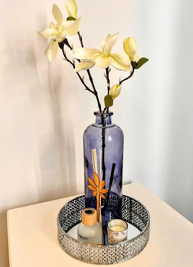 Apartment Stay In Madeira Funchal