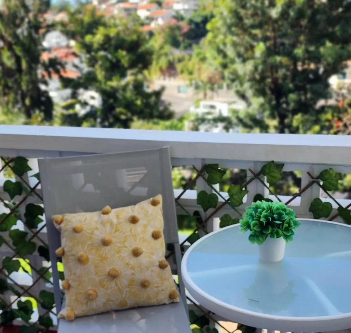 Apartment Stay In Madeira Funchal  Portugal