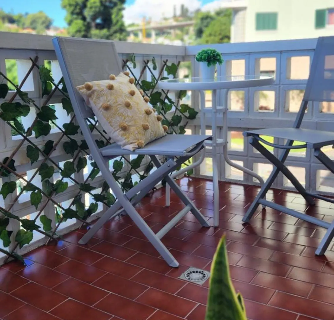 Apartment Stay In Madeira Funchal
